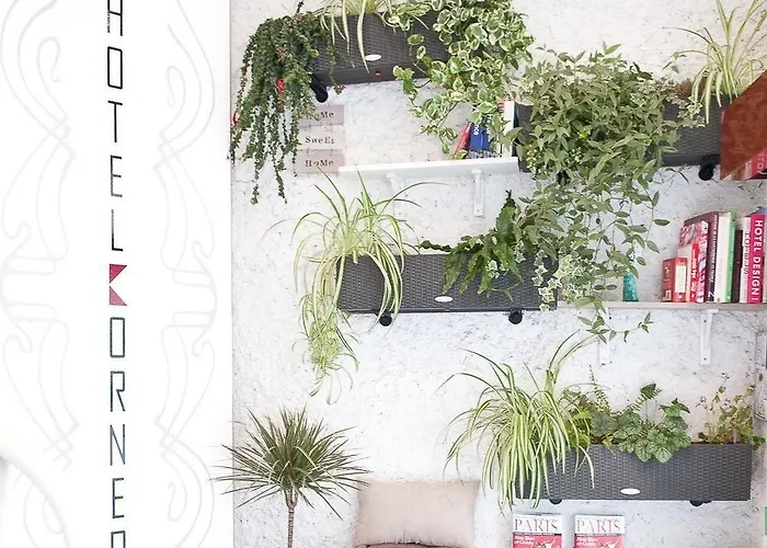 호텔 코너 몽파르나스 3*